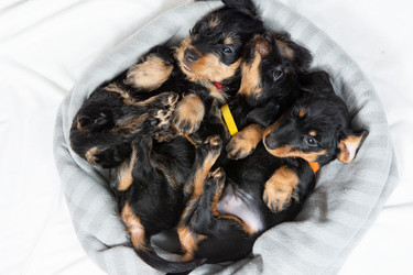 Similar image 21291897