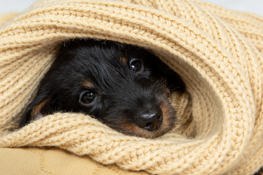 Similar image 21291898