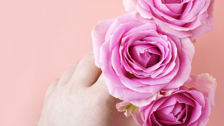 Similar image 21277322