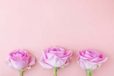 Similar image 21277323