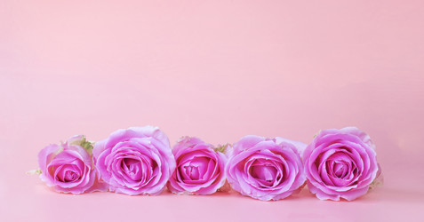 Similar image 21277324