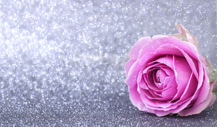 Similar image 21278061