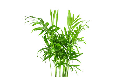 Similar image 21278064