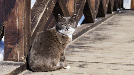 Similar image 21276466