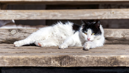 Similar image 21276480