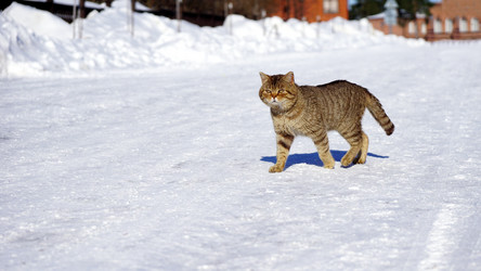 Similar image 21276483