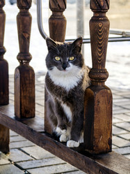 Similar image 21276485