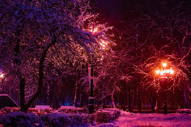 Similar image 21276630