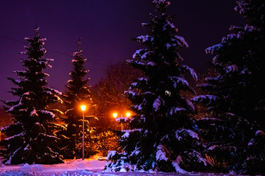 Similar image 21276634