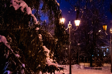 Similar image 21276640