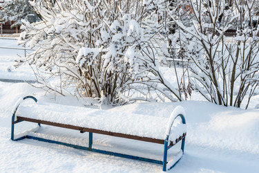 Similar image 21276644