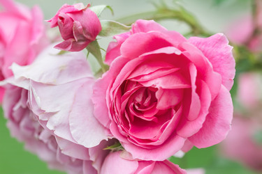 Similar image 21283509