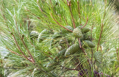 Similar image 21283514