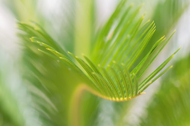 Similar image 21283515