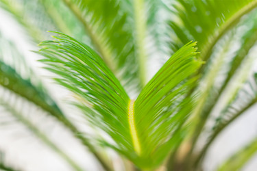 Similar image 21283516