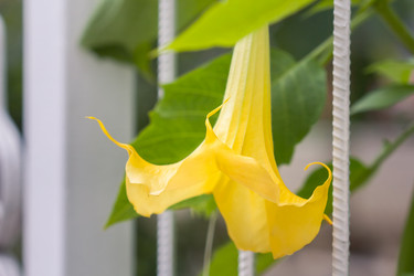 Similar image 21283517