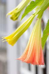 Similar image 21283518