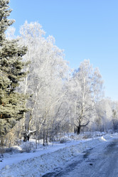 Similar image 21289203