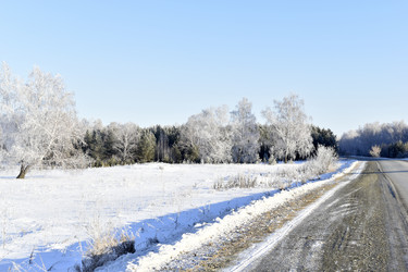 Similar image 21289205