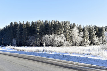 Similar image 21289206