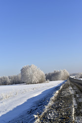 Similar image 21289211