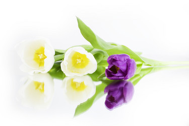 Similar image 21278069