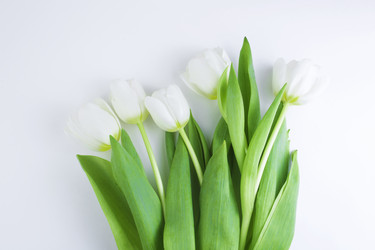 Similar image 21278076