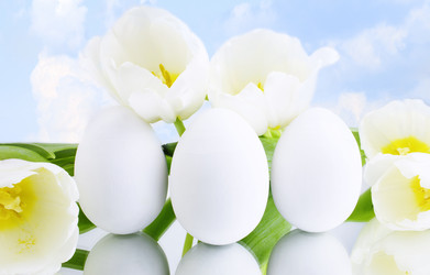 Similar image 21285278