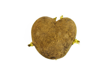 Similar image 21278082