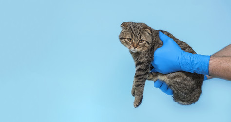 Similar image 21277621