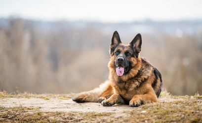 Similar image 21276273