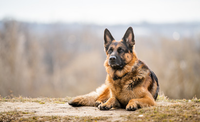 Similar image 21276827