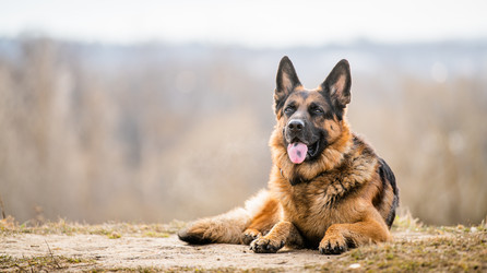 Similar image 21276274