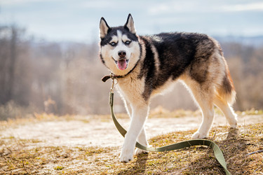 Similar image 21276830