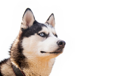 Similar image 21276278