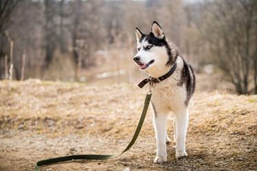 Similar image 21276280