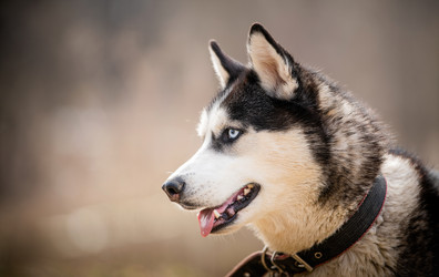 Similar image 21276833