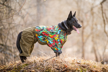 Similar image 21276283