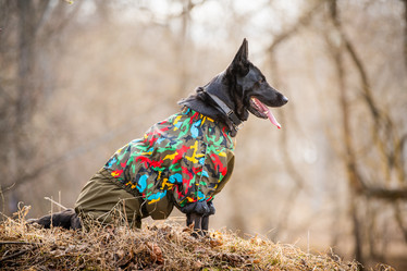 Similar image 21276284