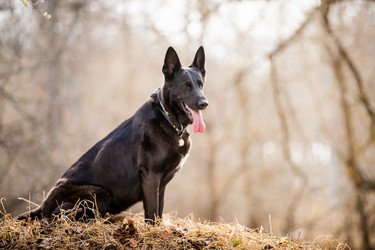 Similar image 21276285