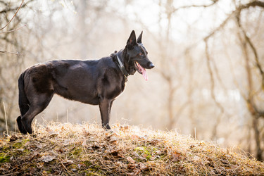 Similar image 21276286