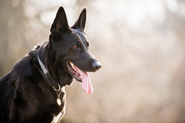 Similar image 21276287