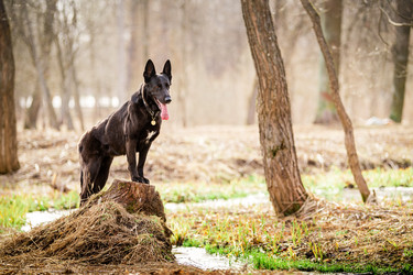 Similar image 21276837