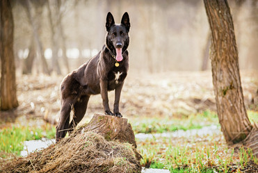 Similar image 21276288