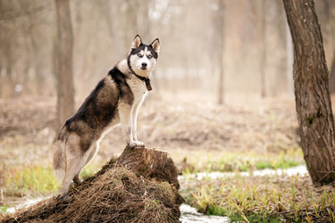 Similar image 21276290