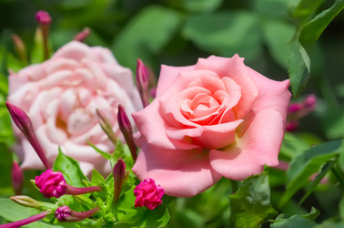 Similar image 21283522