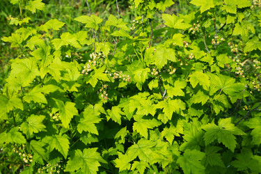 Similar image 21276439