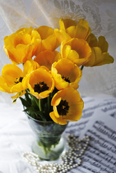 Similar image 21277114