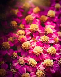 Similar image 21277116