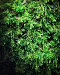 Similar image 21277118